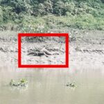 বাইমাইলে বাইক দুর্ঘটনা  আহত তিনজন