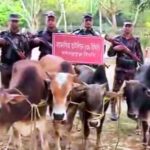 তাসকিন আহমেদ রিয়াদ: বাংলাদেশ থেকে ওমান ক্রিকেটে এক অনুপ্রেরণার যাত্রা