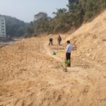 নওগাঁয় এক বছর ধরে গাঁজার গাছ পরিচর্যা, অতঃপর আটক