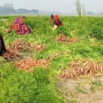 ‘চট্টগ্রামে গণমাধ্যমের ফ্যাসিবাদের দোসরদের বিরুদ্ধে ব্যবস্থা নেয়ার দাবী’