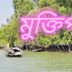 চাঁদপুর ফরিদগঞ্জ সড়কে মোটরসাইকেল আরোহী নিহত।