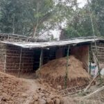 কচুয়ায় ডেভিল হান্টে আটক ৬