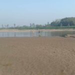 সিরাজগঞ্জে ৫১ কেজি গাঁজাসহ ২ জন মাদক ব্যবসায়ী গ্রেফতার 
