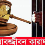 শ্যামনগরে ফসলের ক্ষতিকর পোকা দমনে আলোর ফাঁদ স্থাপন