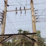 হাটহাজারী হসপিটাল এন্ড ডায়াগনস্টিক সেন্টার ওনার’স এসোসিয়েশনের বার্ষিক বনভোজন ও সংবর্ধনা অনুষ্ঠিত