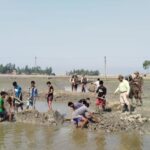 ব্রাহ্মণবাড়িয়া সরকারি মহিলা কলেজে তারুণ্যের উৎসব অনুষ্ঠিত। 