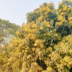 ‎সকল বাজার একত্রিত করার দাবিতে মহাসড়ক অবরোধ করে মানববন্ধন