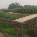 আশ্রয়ণ কেন্দ্রের ঘর বিক্রিতে বাধা দেওয়ায় নোয়াখালীতে প্রকাশ্যে কৃষকদল নেতাকে পেটালেন বিএনপি নেতা