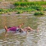 আইনজীবী পরিবর্তন আদালতের নথি থেকে গায়েব  জমির দলিল