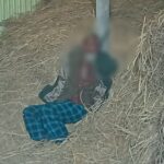 রাঙ্গাবালীতে সাংবাদিক পরিচয়ে চাঁদাবাজির অভিযোগ, ঝাড়ু-জুতা মিছিল