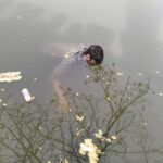 পবিত্র মাহে রমজান ‍উপলক্ষে সড়ক-মহাসড়কে শৃঙ্খলা ও নিরাপত্তা সংক্রান্ত মতবিনিময় সভা।