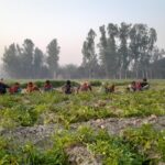 হাটহাজারীতে জাতীয় দূর্যোগ প্রস্তুতি দিবস উদযাপন
