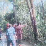 চাঁদপুরে বিএডিসি প্রকৌশলীর বিরুদ্ধে আদালতের নির্দেশনা অমান্যের অভিযোগ 