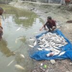 বাংলাদেশ জামাতে ইসলামি নাটমুড়া ইউনিট   আয়োজনে ইফতার ও দোয়া মাহফিল