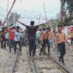 নেছারাবাদে বন বিভাগের উদাসিনতায় সরকারি গাছ কেটে নিচ্ছে প্রভাবশালীরা