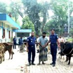 ফেনীতে চুরির অভিযোগে গনপিটুনিতে লিটন নামের এক যুবক নিহত।
