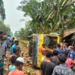 টাঙ্গাইলে পানিতে চেতনানাশক ওষুধ মিশিয়ে নগদ টাকা ও স্বর্ণালংকার চুরি