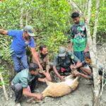 সোনাপুর ক্রীড়া ও সমাজ কল্যাণ সংঘের ঈদ উপহার প্রদান।