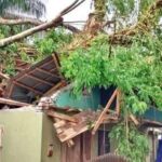 পলাশবাড়ীতে এসএসসি ও দাখিলসহ সমমানের পরীক্ষা শান্তিপূর্ণ পরিবেশে অনুষ্ঠিত।