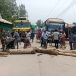 গাছের সাথে এ কেমন শত্রুতা?