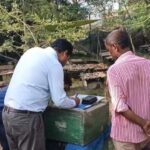 মহেশপুরে সড়ক দুর্ঘটনায় নিহত ৩ আহত ৩