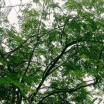 নাজিরপুরে এলজিইডি কার্যালয়ে দুদকের অভিযান 