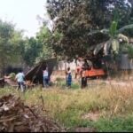 মহেশপুরে নবাগত ইউএনও খাদিজা খাতুনকে ফুলেল শুভেচ্ছা