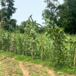চিলমারীতে আইনগত সহায়তা দিবস-২০২৫ অনুষ্ঠিত