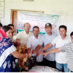 পিরোজপুরে একরাতে সিঁধ কেটে ৫ বাড়িতে চুরি