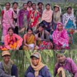 জুলাই আন্দোলনকারীদের ‘দুর্বৃত্ত’ আখ্যা, ইবিতে সাংবাদিককে মারধর