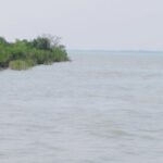 সদরপুরে স্বর্ণেরবার দেখানো প্রতারক গ্রেফতার