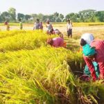 রায়পুরে ইউএনও মো. ইমরান খানের কর্মময় অভিযাত্রার এক বছর