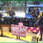 বিশ্ব ধরিত্রী দিবসে পটুয়াখালীতে যুবকদের পরিবেশ রক্ষার কর্মউদ্যোগ