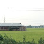 সদরপুরে মাদক সম্রাট কোকেন ফারুক গ্রেফতার 
