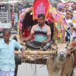 পাথরঘাটায় উপজেলা নির্বাহী কর্মকর্তার বদলির আদেশ প্রত্যাহারের দাবিতে মানববন্ধন