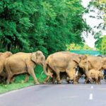 সিরাজগঞ্জে ধুবিল ইউনিয়নে যুবদল, ছাত্রদল ও কৃষকদলের নেতাদের বিরুদ্ধে উদ্দেশ্য প্রণোদিত মিথ্যা ভিত্তিহীন সংবাদ ও ষড়যন্ত্রমূলক দায়ের করা মামলার প্রতিবাদে সংবাদ সম্মেলন।