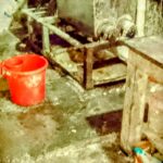আজ থেকে বাজারে দেখা মিলবে নওগাঁর আম
