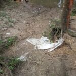 জমি বিরোধে সশস্ত্র হামলা, নারীসহ আহত ৭
