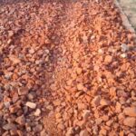 যশোরে শার্শায় ১০টি স্বর্ণের বার সহ পাচারকারী আটক