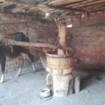 ব্যাপক উৎসাহ উদ্দীপনা সভা এবং বর্ণাঢ্য শোভাযাত্রার মাধ্যমে মে দিবস পালিত