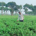 ফেনী ডিবির অভিযানে ১৩০০ পিস ইয়াবাসহ মাদক ব্যবসায়ি গ্রেফতার।