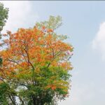জলবায়ু সহনশীল জনগোষ্ঠী তৈরিতে সহায়তার লক্ষ্যে কর্মশালা