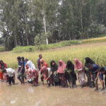 স্ত্রীর মামলায় জেলা ছাত্রদল নেতা পরিচয়দানকারীর বিরুদ্ধে গ্রেফতারী পরোয়ানা