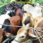 নওগাঁয় মিডিয়া কাপ প্রীতি ফুটবল ম্যাচে   প্রিন্ট মিডিয়া একাদশের জয়
