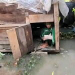ঝুঁকিপূর্ণ বাঁধ নিয়ে আতঙ্কে সাতক্ষীরার উপকূলীয় মানুষ