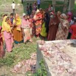 দশমিনায় স্ত্রী কর্তৃক স্বামীর পুরুষঙ্গ কর্তন