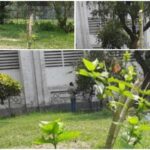 নামাজ পড়ার অপরাধে কর্মচারীকে পেটালেন প্রধান শিক্ষক 