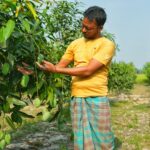 ইবিতে চুয়াডাঙ্গা জেলা ছাত্রকল্যাণ সমিতির নেতৃত্বে মেহেদী ও রাশেদ