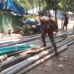 সাভারের মজিদপুরে বাবাকে কুপিয়ে হত্যার পর ৯৯৯ নম্বরে কল দিয়ে পুলিশে ধরা দিলেন মেয়ে