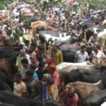 চট্টগ্রামে জুলাই – আগষ্ট ছাত্র আন্দোলনে হামলার মদদদাতা গ্রেফতার 